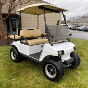 Club Car DS 48V Electric Golf Cart