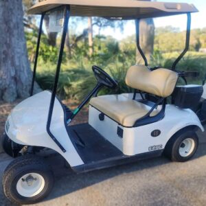 2017 EZGO Electric Golf Cart